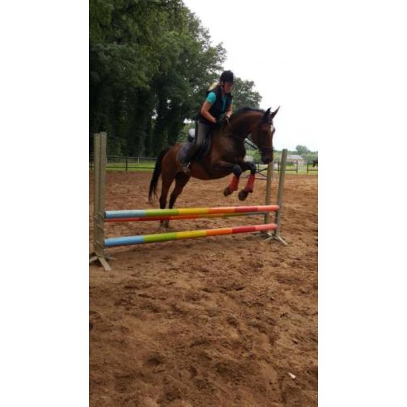 Recreatie Merrie