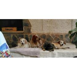 George