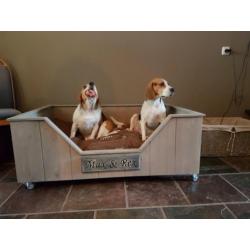 2 lieve Beagles