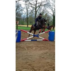 Recreatie Merrie