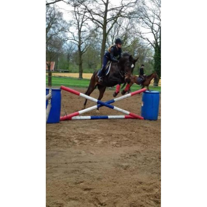 Recreatie Merrie
