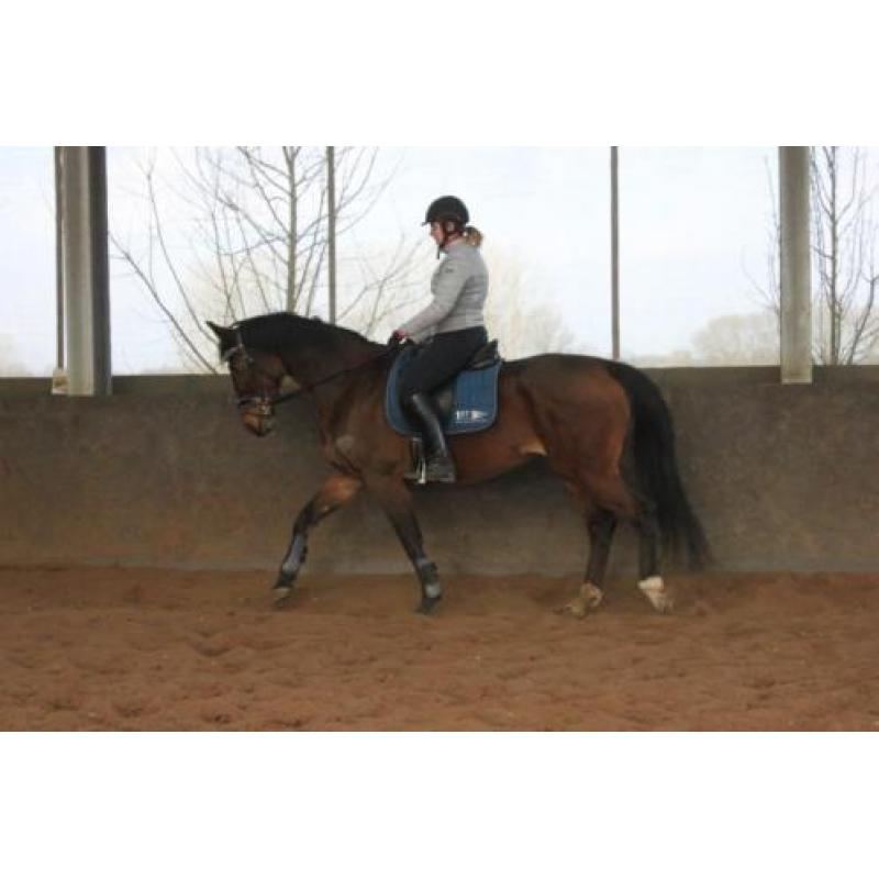 Recreatie Merrie