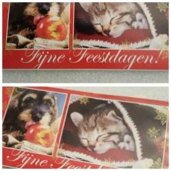 Feestdagen kaarten x 10 stuks met envelop.pen