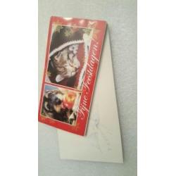 Feestdagen kaarten x 10 stuks met envelop.pen