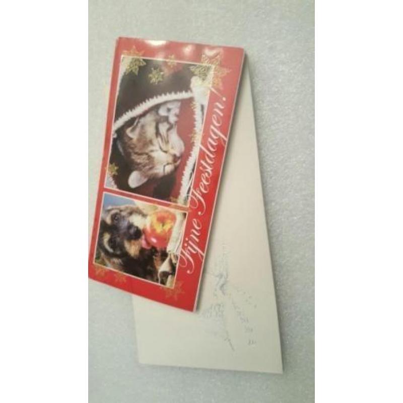Feestdagen kaarten x 10 stuks met envelop.pen