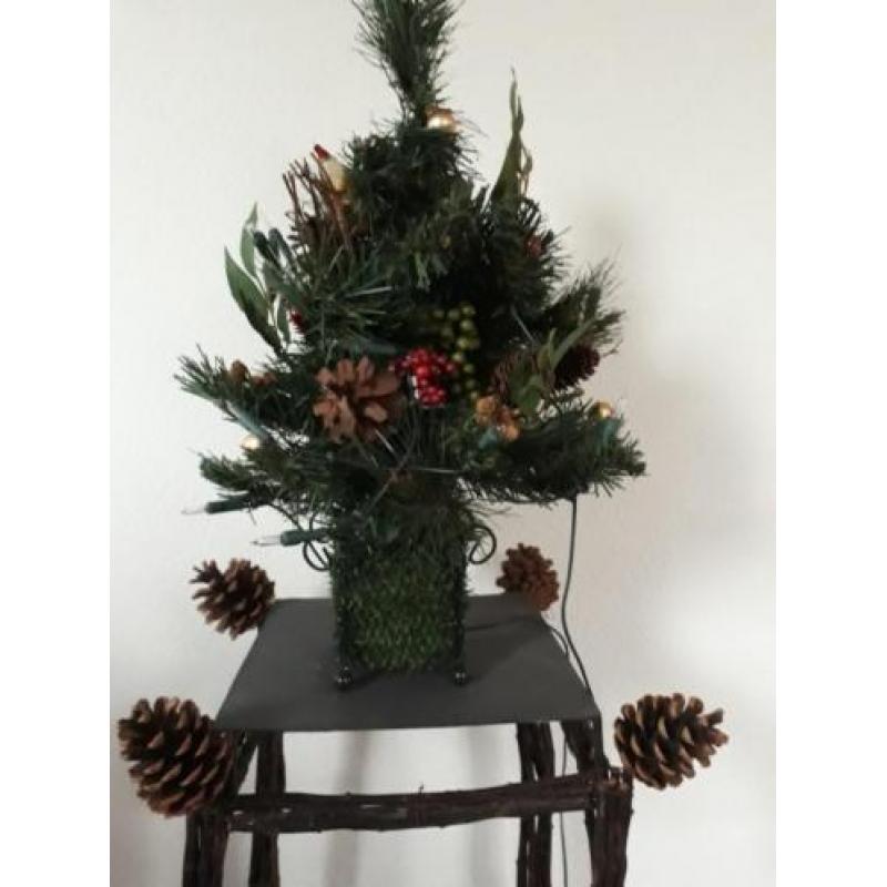 Kerstboom
