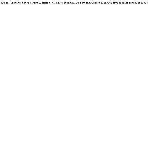 Prachtige gordijnen verduisterend incl haakjes nieuw