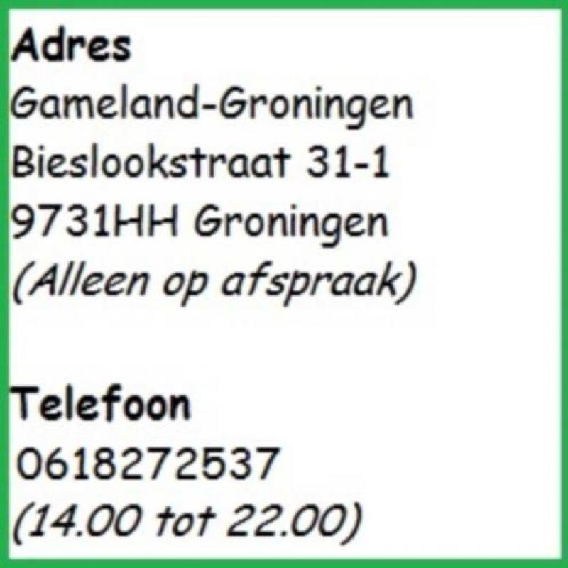 Oplader (GBA SP & NDS) Nieuw