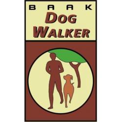 DogWalker wandelschoen "LINES" Styled by Grisport maat 42