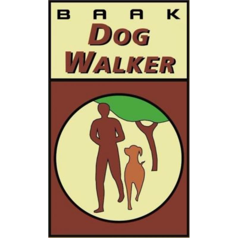 DogWalker wandelschoen "LINES" Styled by Grisport maat 42